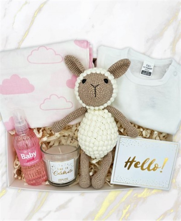 Sevimli Kuzucuk Kız Bebek Hediye Kutusu